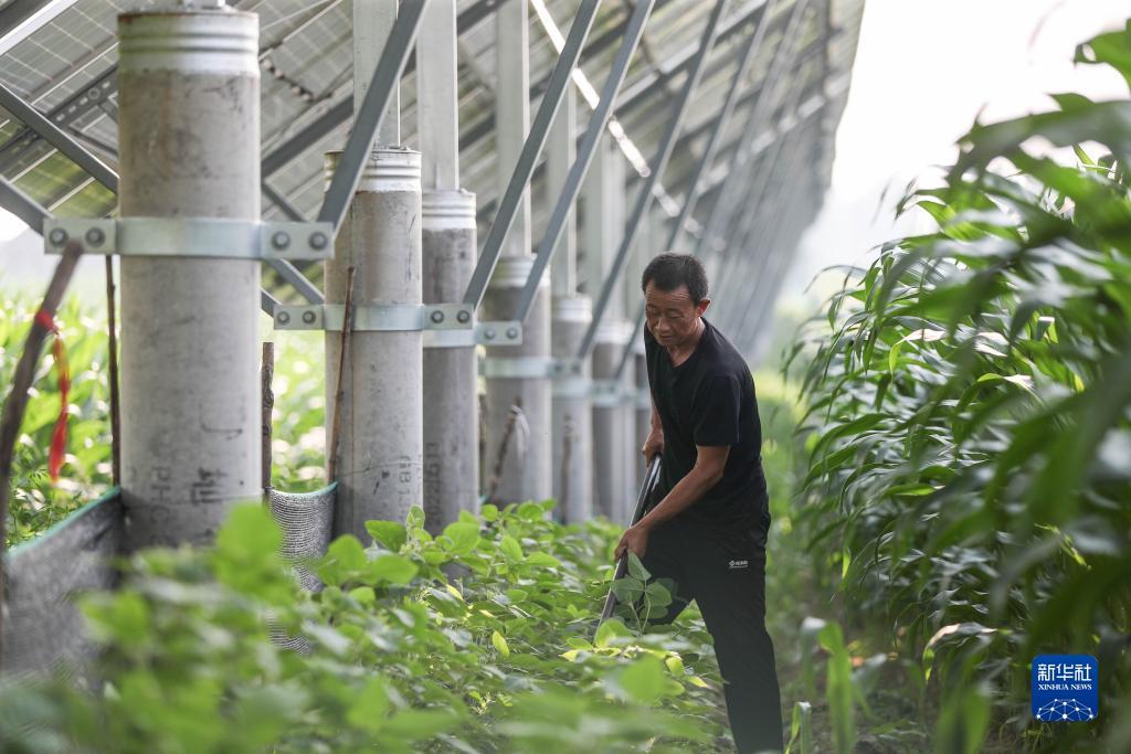 打鱼提现秒到